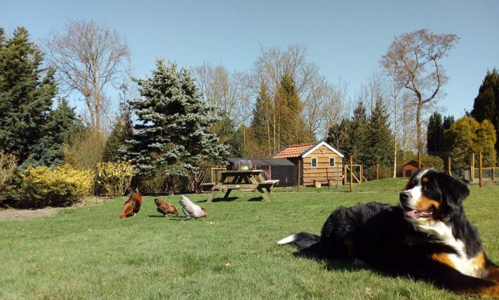 B&B De Flecht - De Ljip Nijega Exteriér fotografie