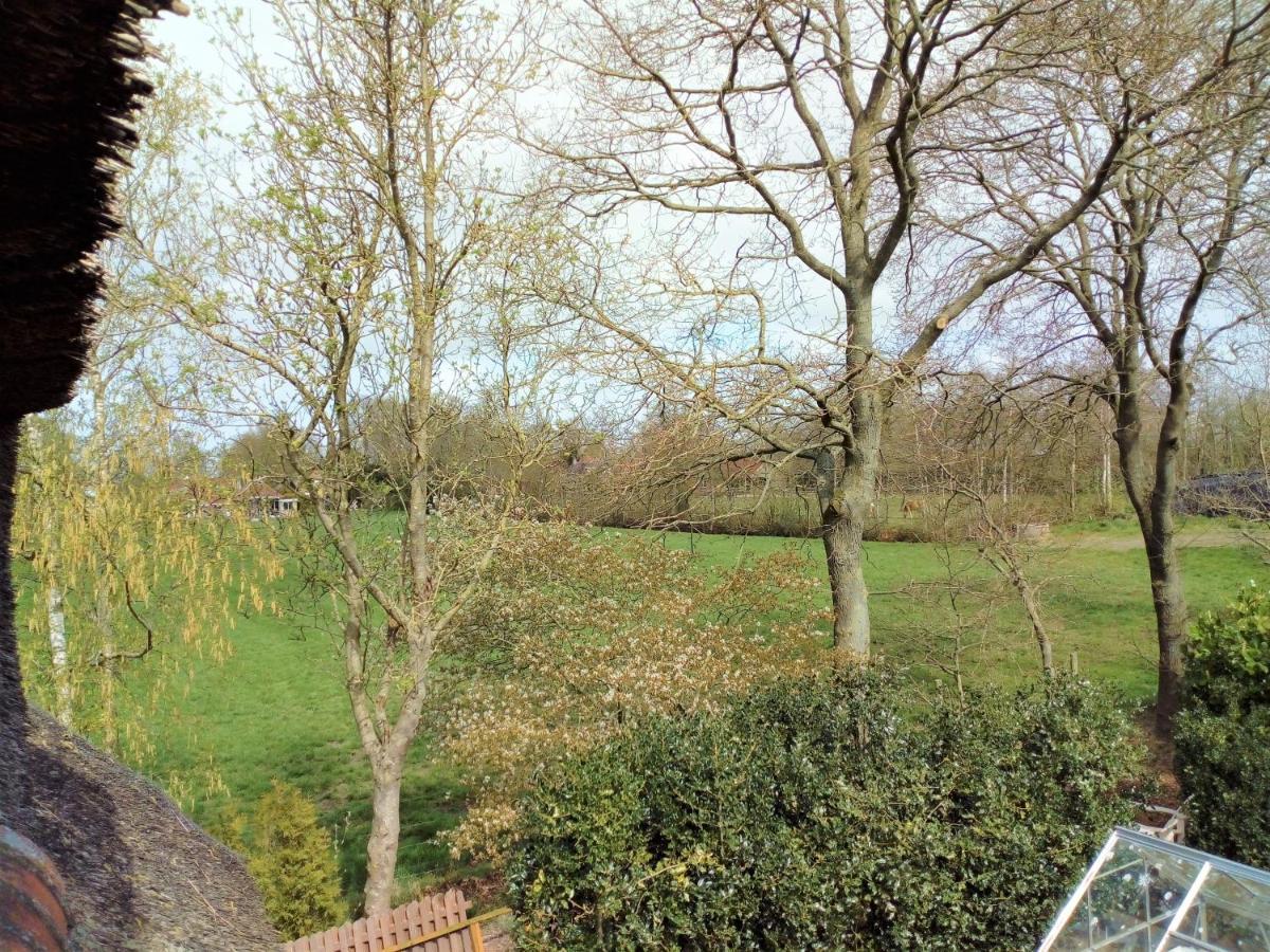 B&B De Flecht - De Ljip Nijega Exteriér fotografie