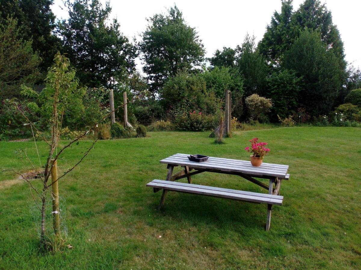 B&B De Flecht - De Ljip Nijega Exteriér fotografie
