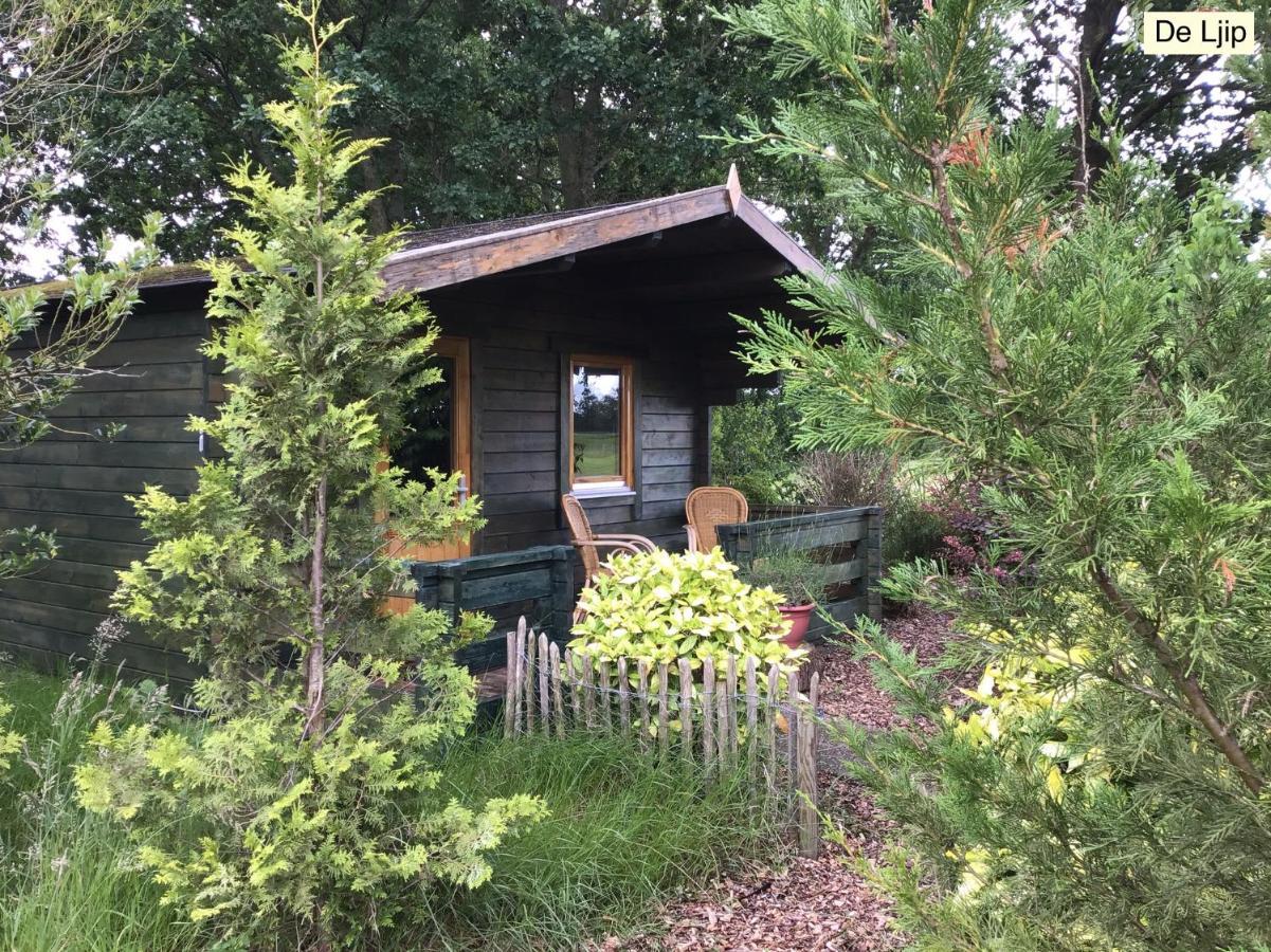 B&B De Flecht - De Ljip Nijega Exteriér fotografie
